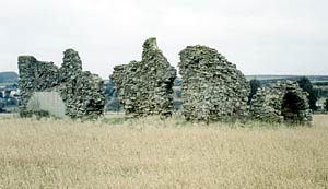 The remains of King John's Palace in [Kings] Clipstone, 2003.