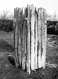 Oak planks from well at Margidunum, c.1926. 